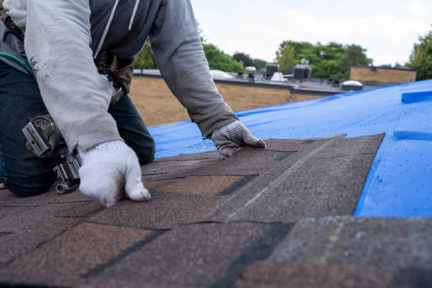 Best Metal Roofing Contractor  in Ruthers, CA